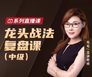 毛毛老师龙头战法复盘课（中级）