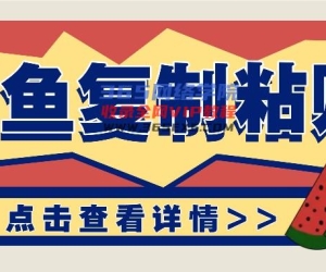 揭密闲鱼平台拷贝挣钱游戏玩法：零成本实际操作，月收益轻轻松松好几千几万元