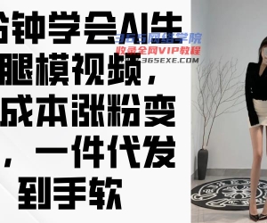 （14537期）3min懂得AI形成腿模视频，零成本增粉转现，一件代发到手软