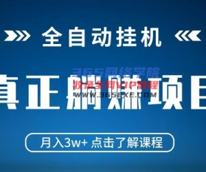 全自动挂机项目 月入3w+ 真正躺平项目 不吃电脑配置 当天见收益