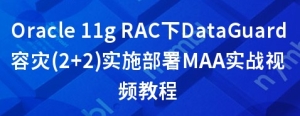 Oracle 11g RAC下DataGuard容灾(2+2)实施部署MAA实战视频教程
