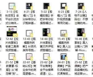 AI自媒体-零基础到稳定变现陪跑营