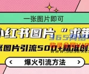 小红书图片‘求带’爆火引流法，单张图片引流500+精准创业粉【揭秘】