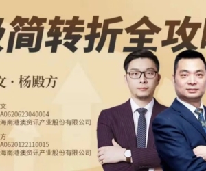 张耀文&#12539;杨殿方《极简转折全攻略》机构新思维解析