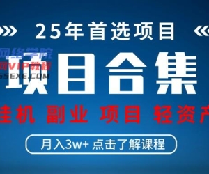 实际操作新项目合辑 放置挂机种类 直播类型 轻资产创业种类 课程分享各项目简介和基本原理