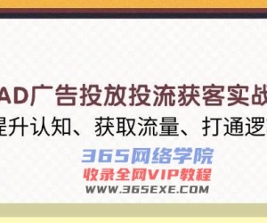 巨量AD广告投放投流获客实战指南，提升认知、获取流量、打通逻辑