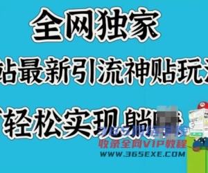 各大网站独家代理，B站全新引流方法神贴游戏玩法，可真正实现躺Z