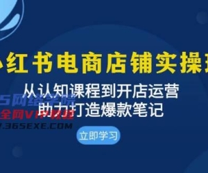 小红书电商店铺实操班：从认知课程到开店运营，助力打造爆款笔记