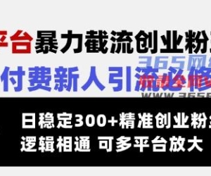 交友网站暴力行为截留自主创业粉游戏玩法，社交电商新手引流方法必修课程，日平稳300 精确自主创业粉丝们，逻辑性互通可全平台变大