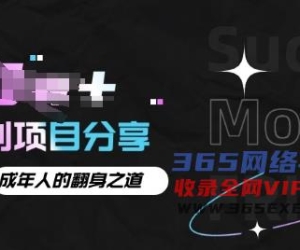 月入十个的网创项目分享，成年人的最快翻身之道