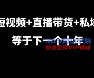 短视频+直播带货+私域等于下一个十年，大佬7年实战经验总结