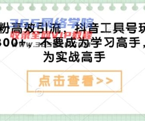 自主创业粉高效率引流方法，抖音视频专用工具号游戏玩法，日引300 ，不要成为学习高手，要想成为实战演练大神