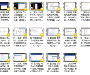 游戏逆向的故事Ⅰ：我要入门
