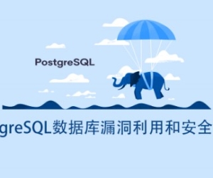某牛课堂 PostgreSQL数据库漏洞利用和安全实践