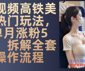 （13319期）小视频高铁动车漂亮美女受欢迎游戏玩法，单月增粉5万，拆卸整套操作步骤