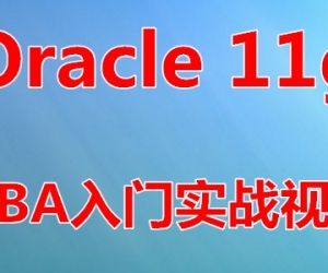 Oracle 11g DBA入门实战视频课程