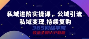 公域升阶实操课，公域流量引流方法 私域变现 不断回购