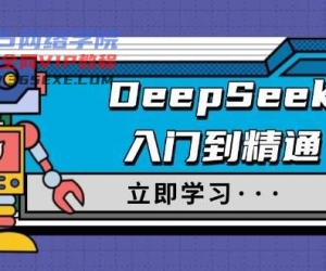 DeepSeek入门到精通，包含初入职场应用及真实身份饰演，收服手册及顶尖引导词
