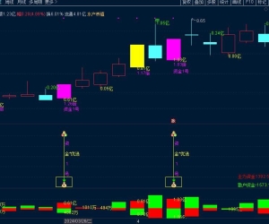 叶梵宸指标2024资金1号【每天盘中 主选①支】《无忧版》《K线追踪主散因果》