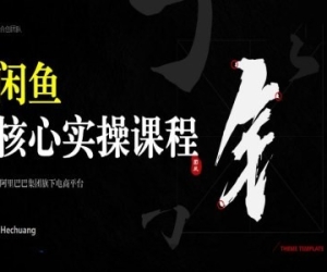 合创时代 2024闲鱼核心实操课程
