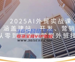 （14135期）2025AI出口外贸实战演练课：包含建网站、开发设计、营销推广, 从零到三全面了解出口外贸专业技能