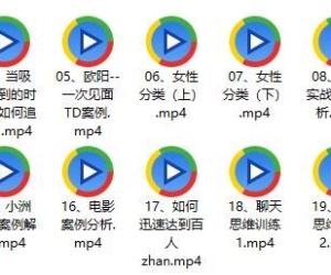 《雅痞情感VIP私教视频课程》百度网盘下载【081502】