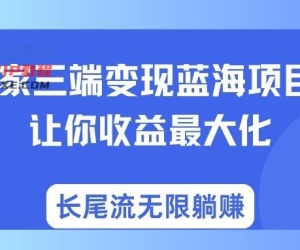 独家三端变现蓝海项目让你收益最大化长尾流无限躺赚