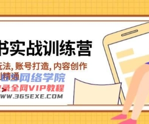 小红书的实战演练夏令营，包含电商玩法, 账户打造出, 内容生产, 帮助你入门到精通