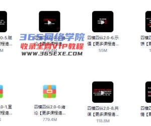 情感课程《四横四纵2.0》百度网盘下载【082705】