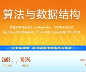 算法与数据结构（体系课价值900）