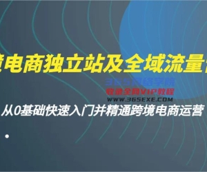跨境电商电商独立站及全域流量营销推广，从0根本快速上手并熟练跨境电商运营