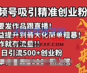 微信视频号吸引住精确自主创业粉，不用更新视频跟直播间，有实际操作就会有总流量，日引500 自主创业粉