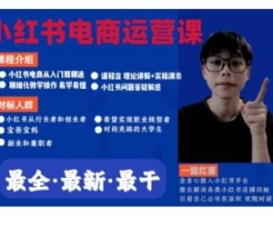 小红书电商从入门到精通 理论+实战全教程-刘富楠