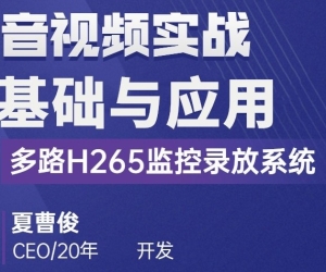 C++音视频实战-FFmpeg基础到工程-多路H265监控录放开发
