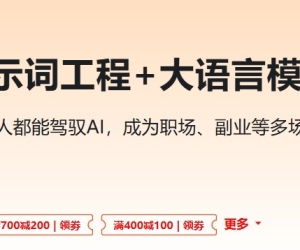 AI人人必修-提示词工程+大模型多场景实战（丰富资料15章完结)