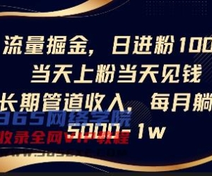 总流量掘金队，日进粉100 ，当日补粉当日见钱，长期性管道收益，每月躺挣5k