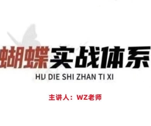 无为王志老师蝴蝶实战体系