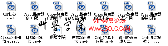 多特教育服务-六个月成为网络专家