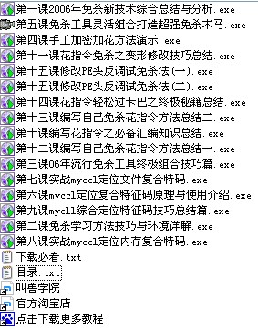 新世纪网安VIP高级免杀班(1-15课)