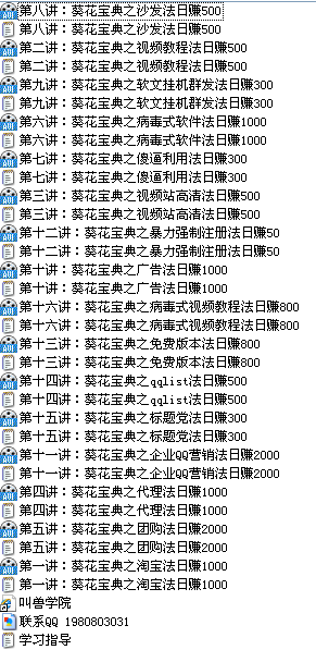 大猛,编程,网赚编程,大猛网赚编程培训教程,编写网赚软件,大猛网赚编程 软件营销日赚500之葵花宝典