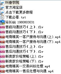 淘宝大学 淘宝卖家营销技巧