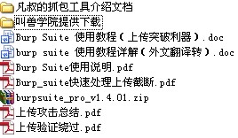 burpsuite教程（文档）