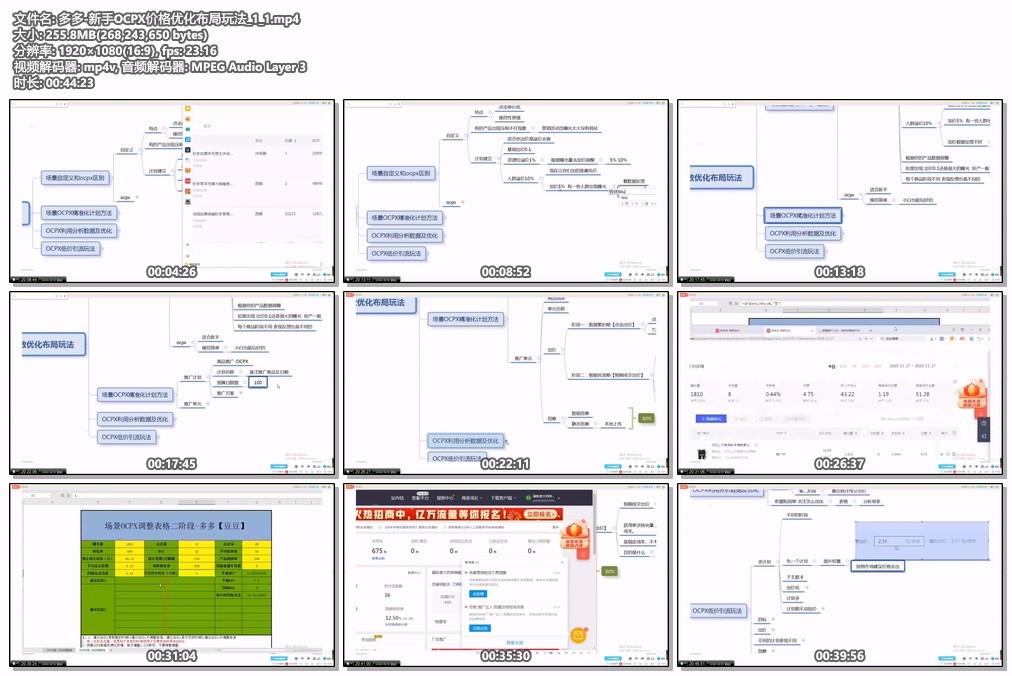 多多-新手OCPX价格优化布局玩法_1_1.mp4.jpg