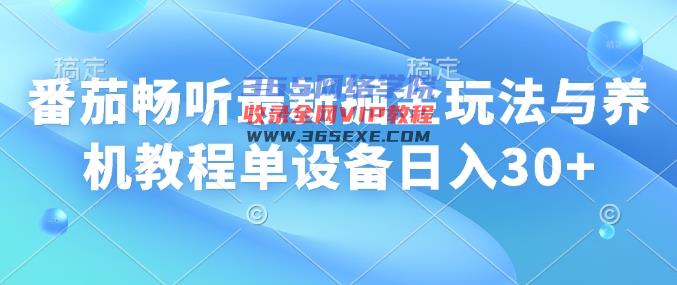 番茄畅听全新掘金队游戏玩法与养机实例教程单机器设备日入30