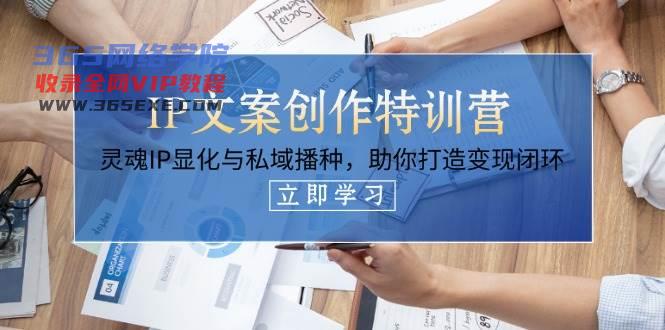 IP文案创作夏令营，生命IP证悟与公域栽种，帮助你打造出转现闭环控制（14堂课）