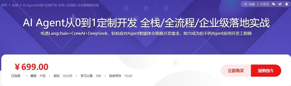 AI Agent从0到1定制开发 全栈全流程企业级落地实战（无加密MP4带资料）